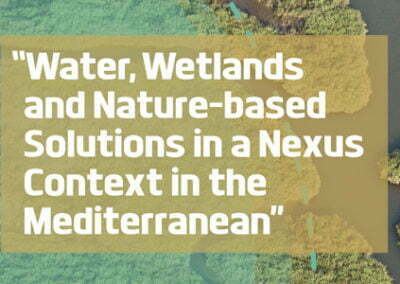 Water, Wetlands and Nature-Based-Solutions in a Nexus Context in the Mediterranean