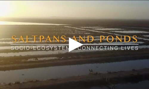 Saltpans and Ponds: Socio-Ecosystems Connecting Lives