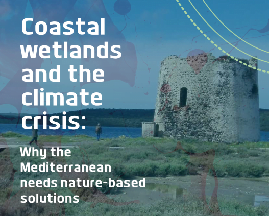 Coastal wetlands and the climate crisis: Why the Mediterranean needs nature-based solutions