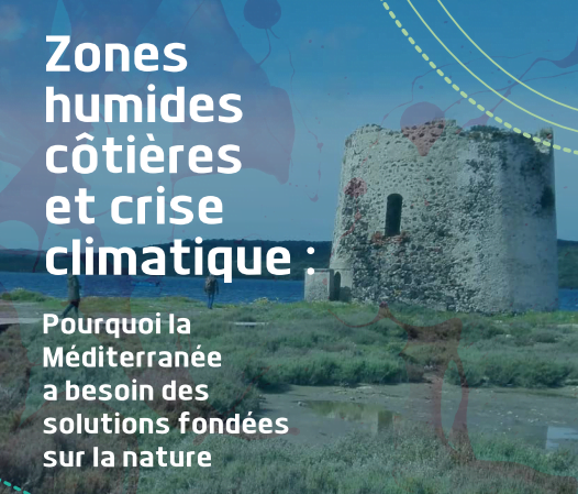 Zones humides côtières et crise climatique : Pourquoi la  Méditerranée a besoin des solutions fondées sur la nature