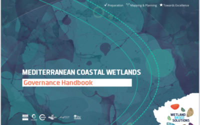 The Governance of Coastal Wetlands in the Mediterranean: A Handbook