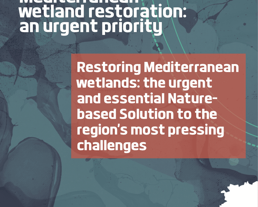 Mediterranean wetland restoration: an urgent priority