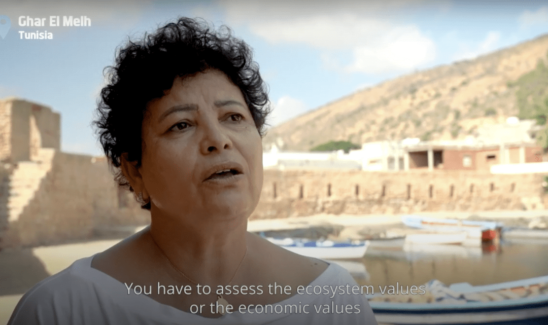 Ghar El Melh: building resilience in Tunisia’s most precious wetlands