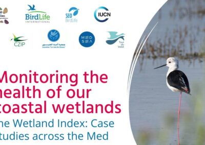 Monitoring the health of our coastal wetlands – the Wetland Index: Case studies across the Mediterranean