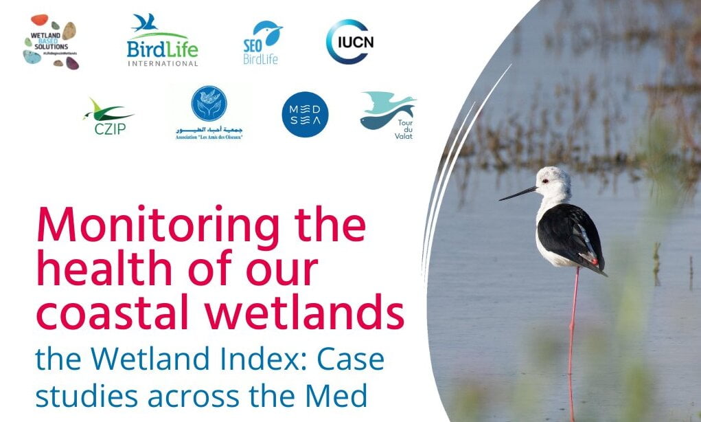 Monitoring the health of our coastal wetlands – the Wetland Index: Case studies across the Mediterranean