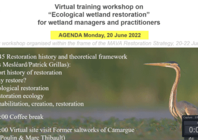 Training on “Ecological wetland restoration” for wetland managers and practitioners​