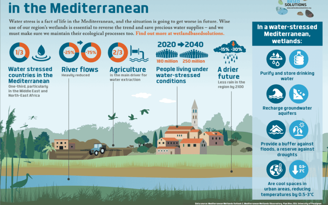 Infographics on the role of wetlands to fight climate change and biodiversity crises