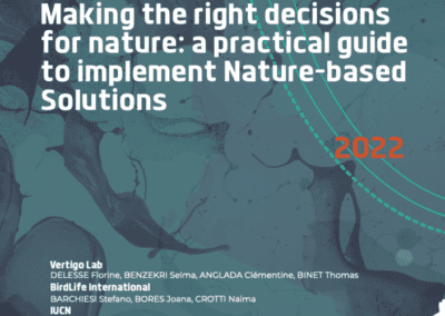 Making the right decisions for nature: a practical guide to implement Nature-based Solutions