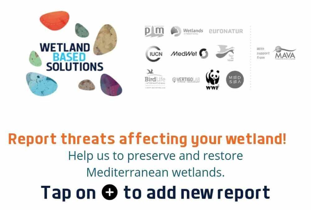 Help us to preserve and restore Mediterranean wetlands – Become one of the MedWetland Watchers