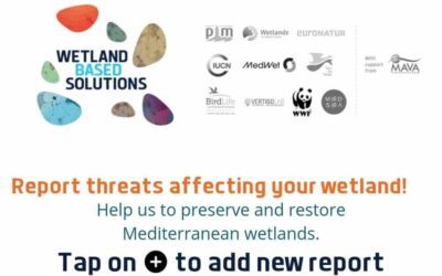 Help us to preserve and restore Mediterranean wetlands – Become one of the MedWetland Watchers