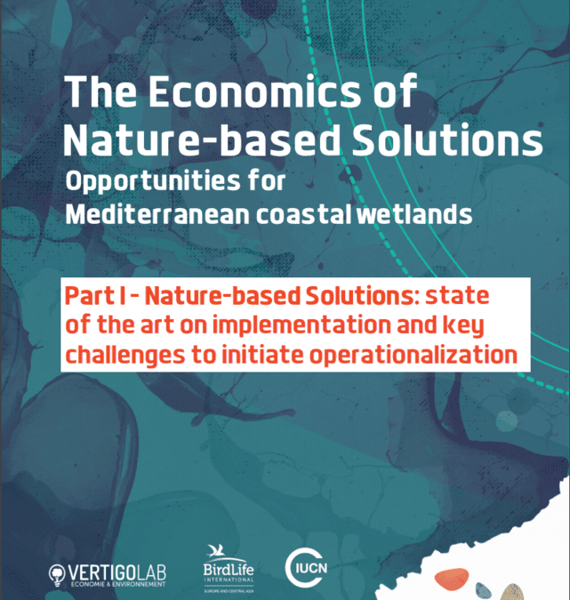 Integrated management for the conservation of Mediterranean wetlands: Economics of Nature-based Solutions