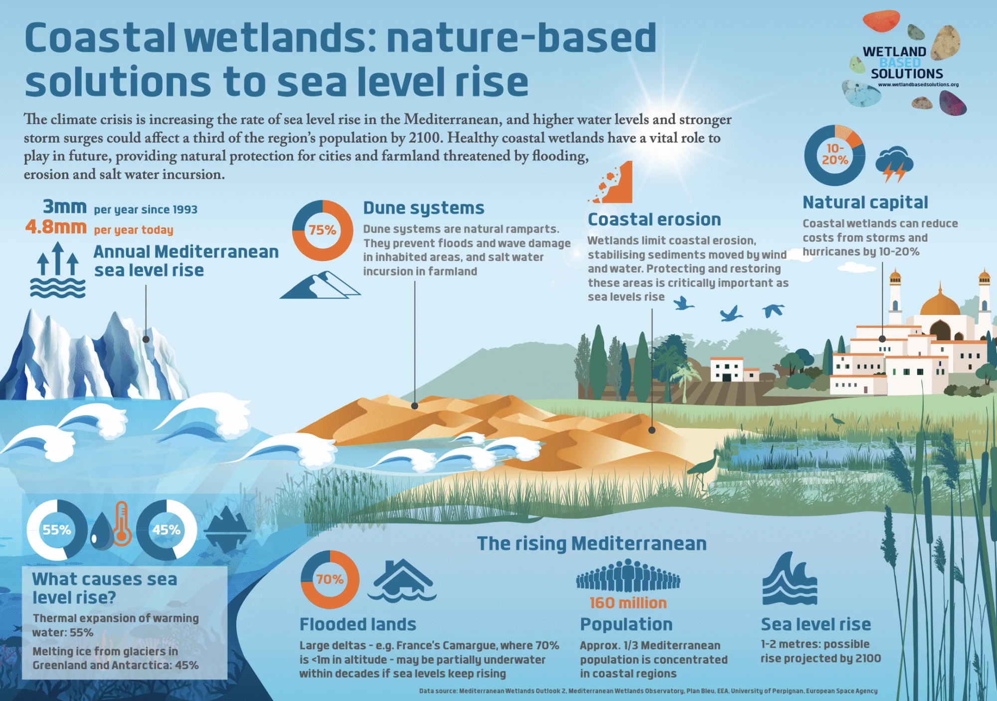 Image for Coastal wetlands: nature-based solutions to sea level rise